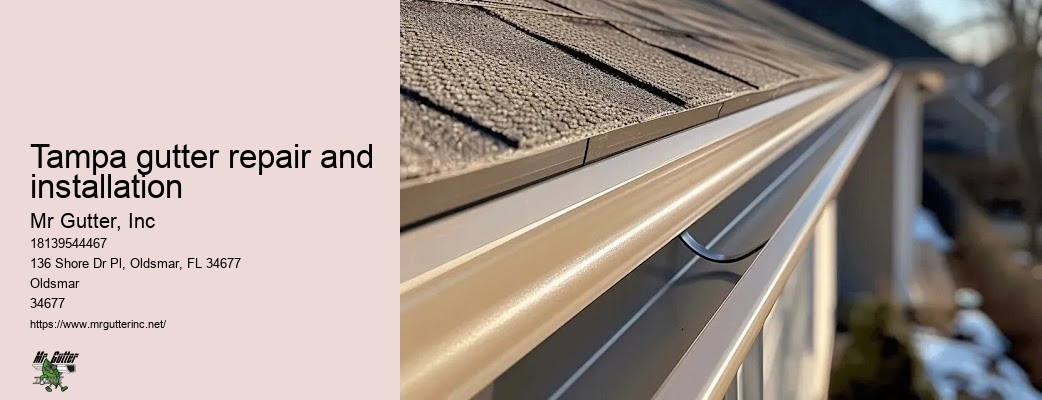 Gutter services near me Tampa gutter repair and installation