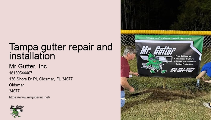 Tampa gutter repair and installation gutter guards installation