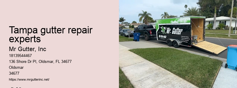 Tampa gutter repair experts rain gutter solutions