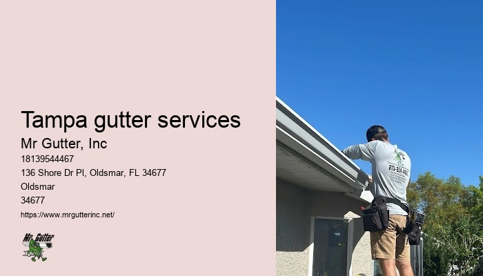 Tampa gutter services gutter installation specials