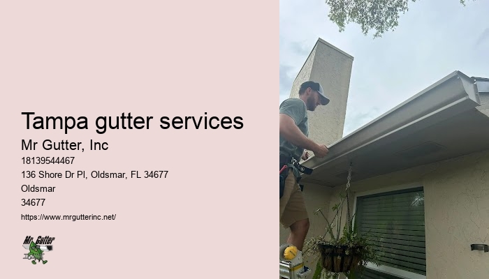 Gutter installation for homes Tampa gutter services