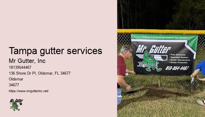 Tampa gutter services gutter installation near me