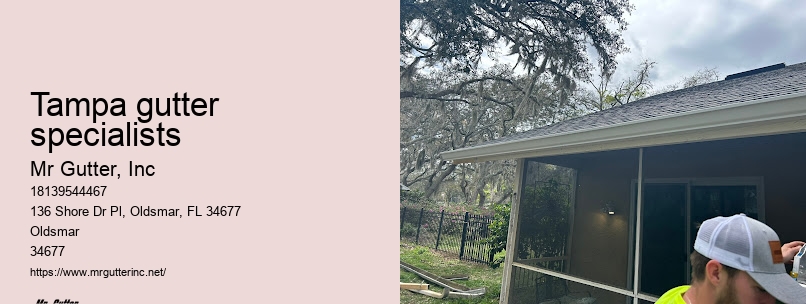 Tampa gutter specialists affordable gutter services
