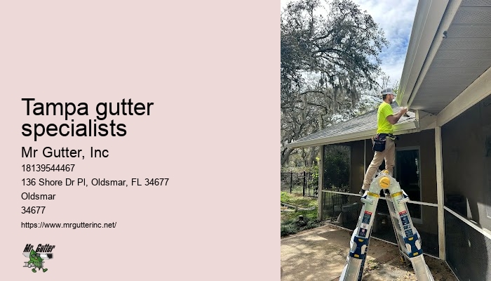Tampa gutter specialists gutter installation guide