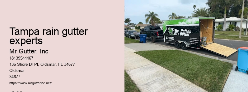 Gutter maintenance tips Tampa rain gutter experts