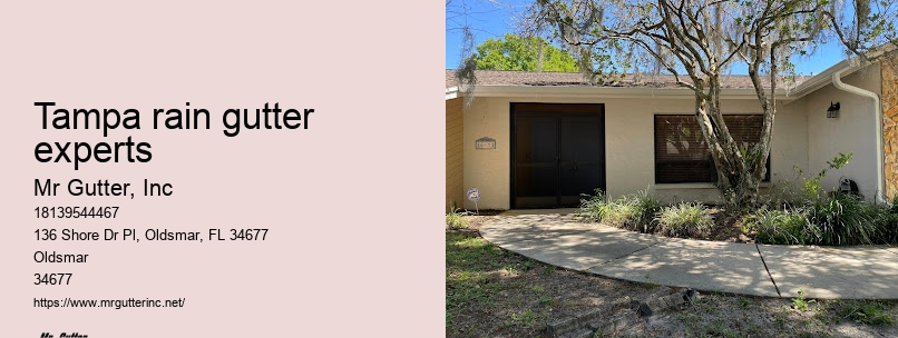 Local gutter repair Tampa rain gutter experts
