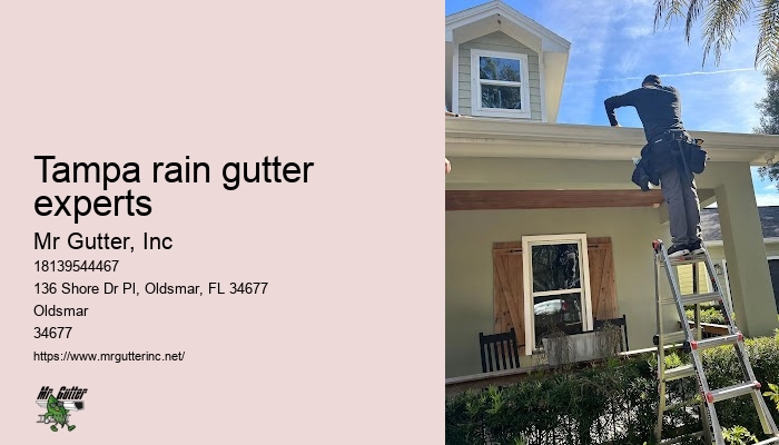 Tampa rain gutter experts gutter repair near me