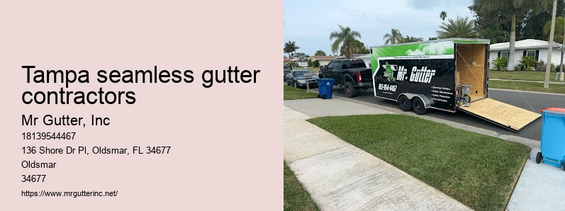Steel gutter installation Tampa seamless gutter contractors