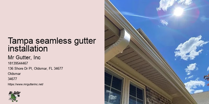 Tampa seamless gutter installation gutter protection installation