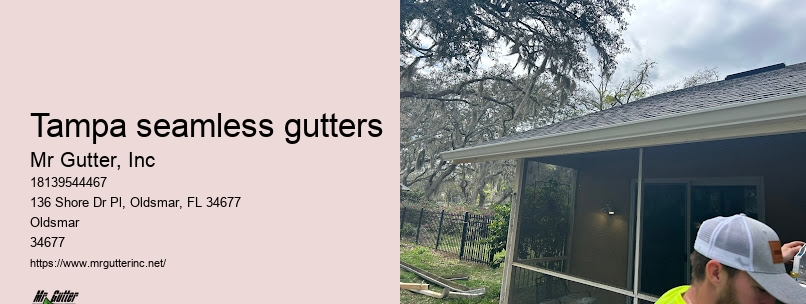 Efficient gutter installation Tampa seamless gutters