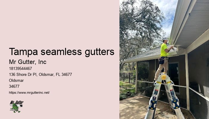 Local gutter installation Tampa seamless gutters