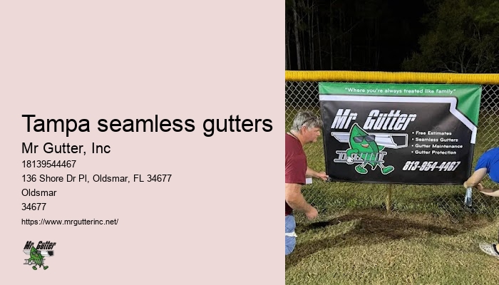 Gutter installation near me Tampa seamless gutters