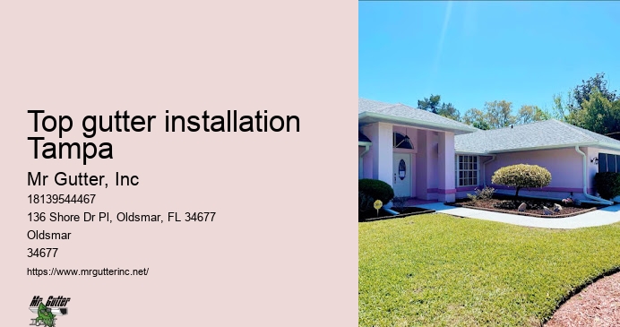Gutter protection reviews Top gutter installation Tampa