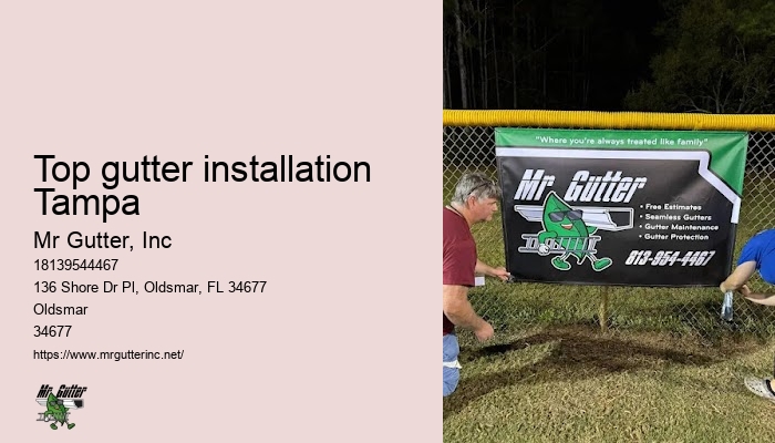 Local gutter companies Top gutter installation Tampa