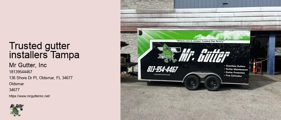 Gutter installation solutions Trusted gutter installers Tampa