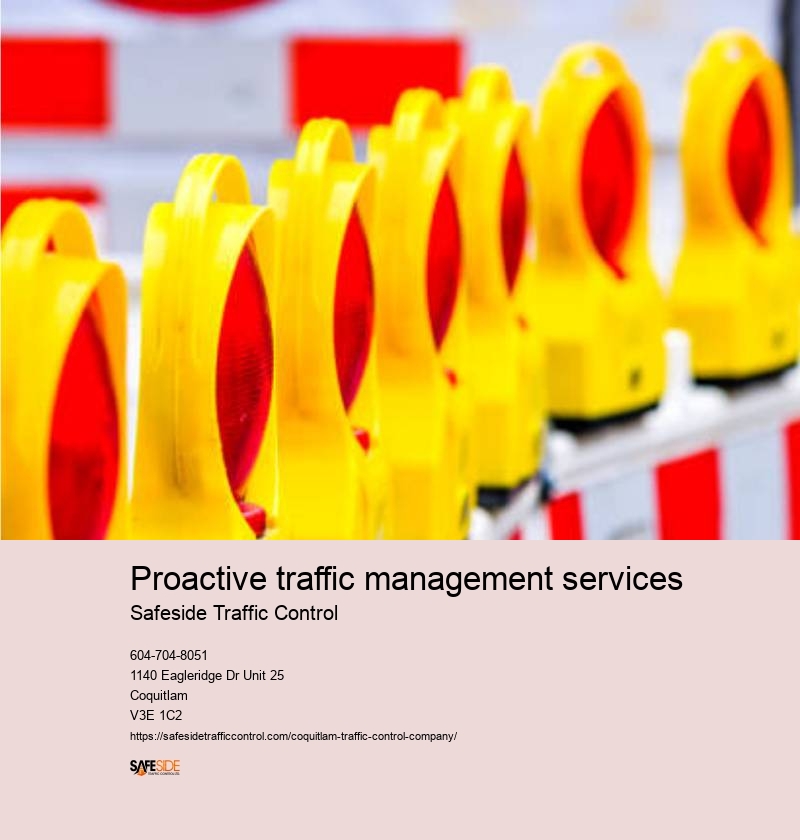 Customized traffic flow optimization